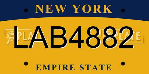 LAB4882 New York License Plate