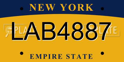 LAB4887 New York License Plate