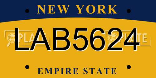 LAB5624 New York License Plate