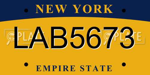 LAB5673 New York License Plate