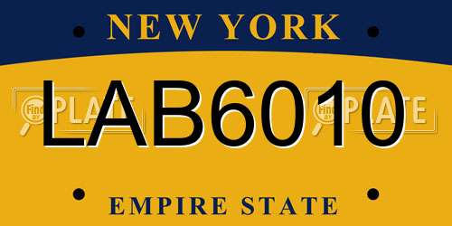 LAB6010 New York License Plate