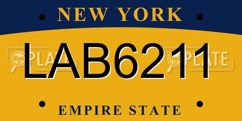 LAB6211 New York License Plate