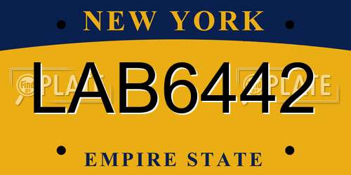 LAB6442 New York License Plate
