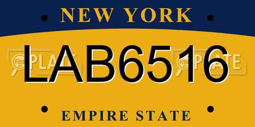 LAB6516 New York License Plate