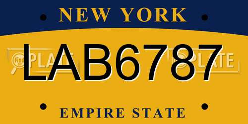 LAB6787 New York License Plate