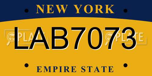 LAB7073 New York License Plate