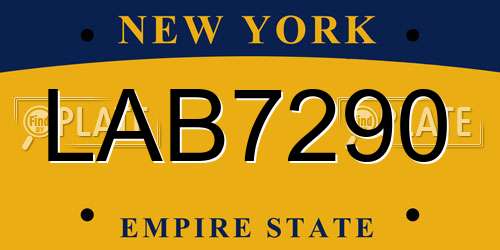 LAB7290 New York License Plate