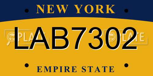 LAB7302 New York License Plate