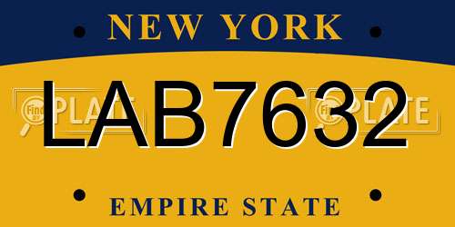 LAB7632 New York License Plate