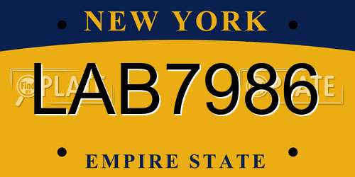 LAB7986 New York License Plate