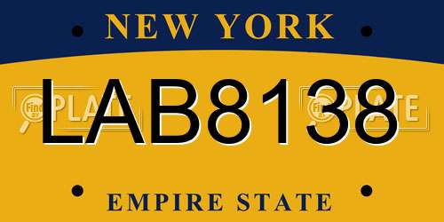 LAB8138 New York License Plate