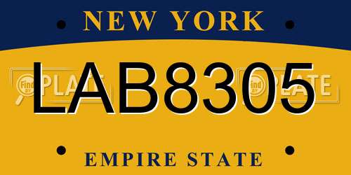 LAB8305 New York License Plate