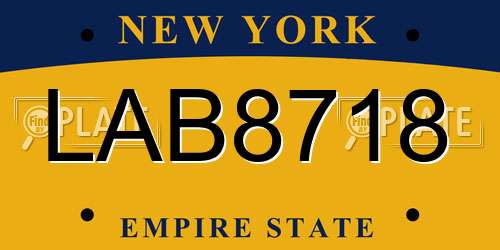 LAB8718 New York License Plate