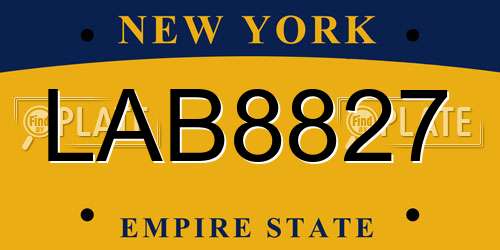 LAB8827 New York License Plate