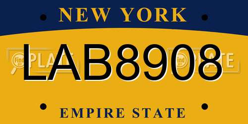 LAB8908 New York License Plate