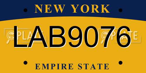 LAB9076 New York License Plate