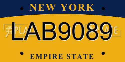 LAB9089 New York License Plate