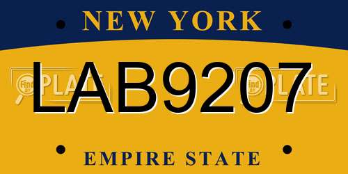 LAB9207 New York License Plate