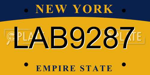 LAB9287 New York License Plate