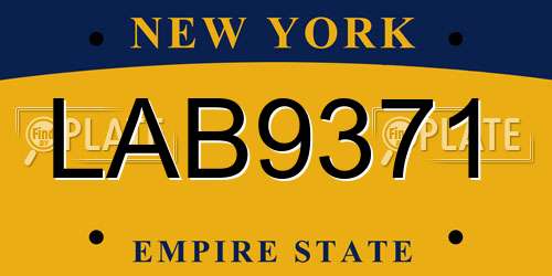 LAB9371 New York License Plate