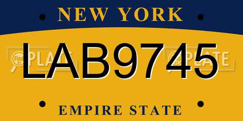 LAB9745 New York License Plate
