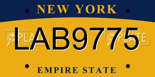 LAB9775 New York License Plate