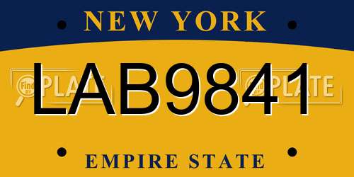 LAB9841 New York License Plate