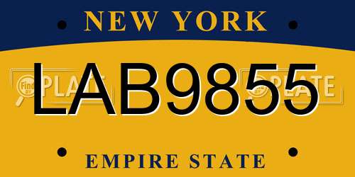 LAB9855 New York License Plate