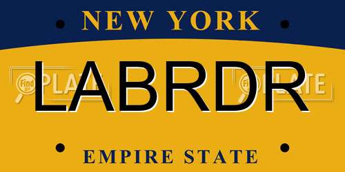 LABRDR New York License Plate