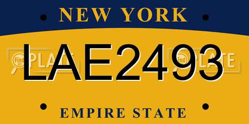 LAE2493 New York License Plate