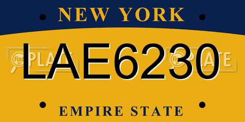 LAE6230 New York License Plate