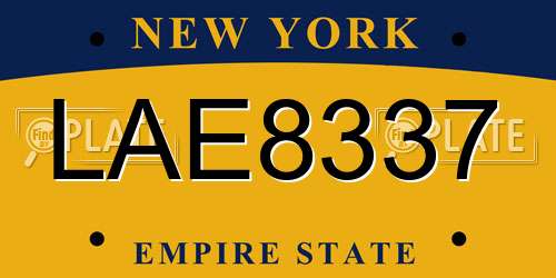 LAE8337 New York License Plate