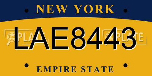 LAE8443 New York License Plate