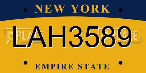 LAH3589 New York License Plate