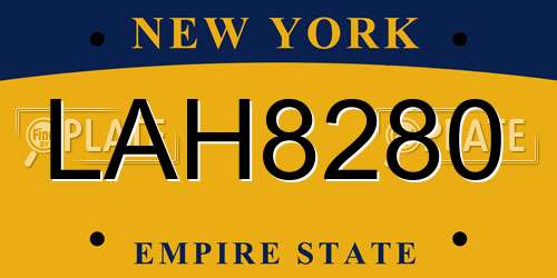 LAH8280 New York License Plate