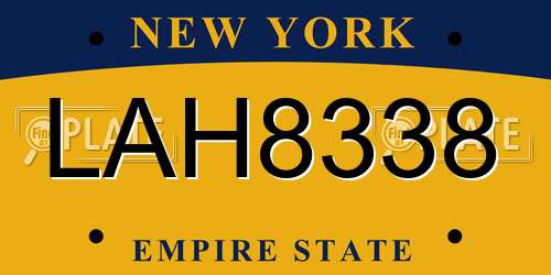 LAH8338 New York License Plate