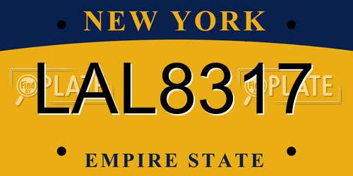 LAL8317 New York License Plate