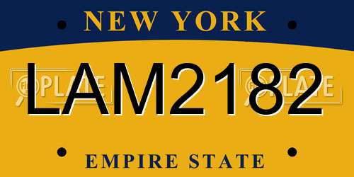 LAM2182 New York License Plate