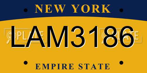 LAM3186 New York License Plate
