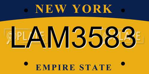 LAM3583 New York License Plate