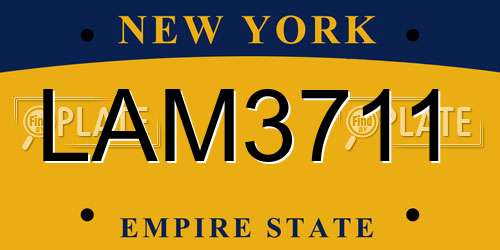 LAM3711 New York License Plate