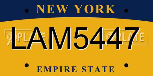 LAM5447 New York License Plate