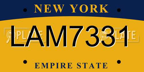 LAM7331 New York License Plate