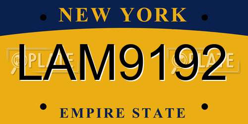 LAM9192 New York License Plate