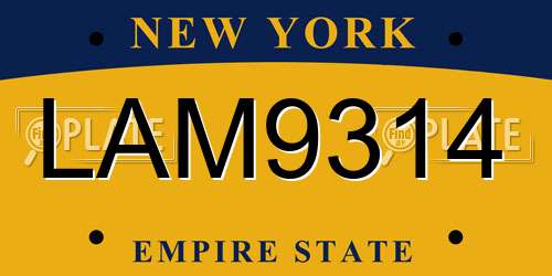 LAM9314 New York License Plate
