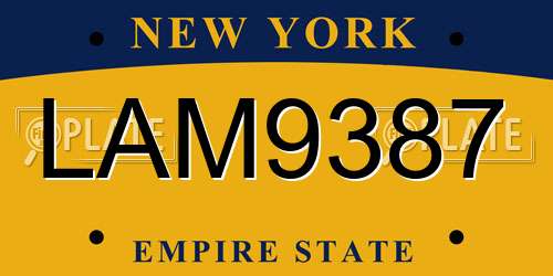 LAM9387 New York License Plate