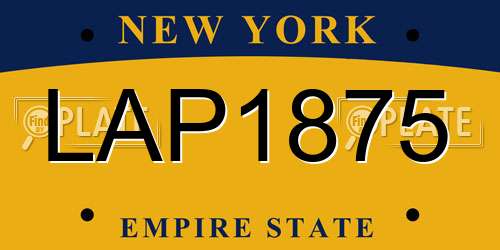 LAP1875 New York License Plate