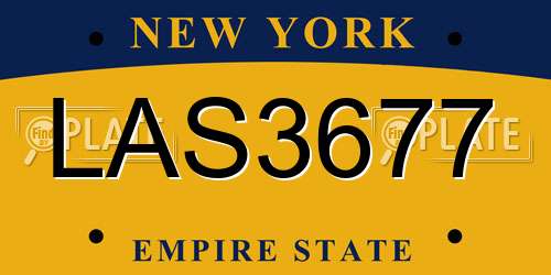 LAS3677 New York License Plate