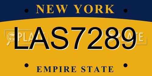 LAS7289 New York License Plate