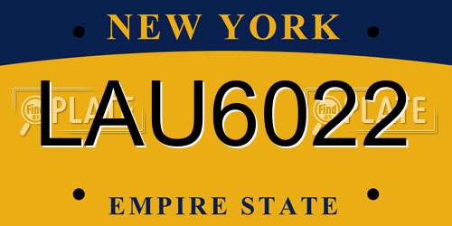 LAU6022 New York License Plate